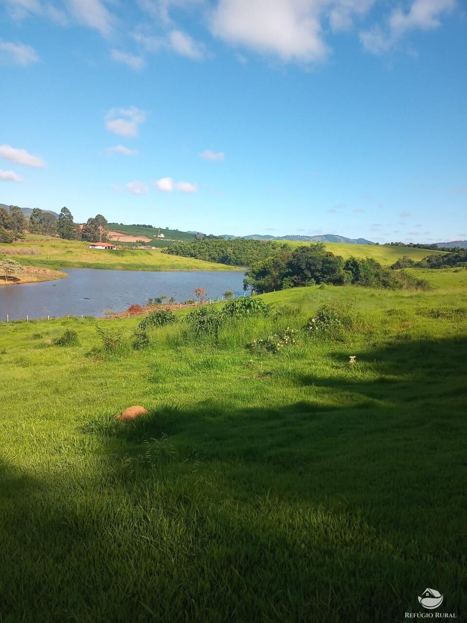 Fazenda à venda com 3 quartos, 730000m² - Foto 10