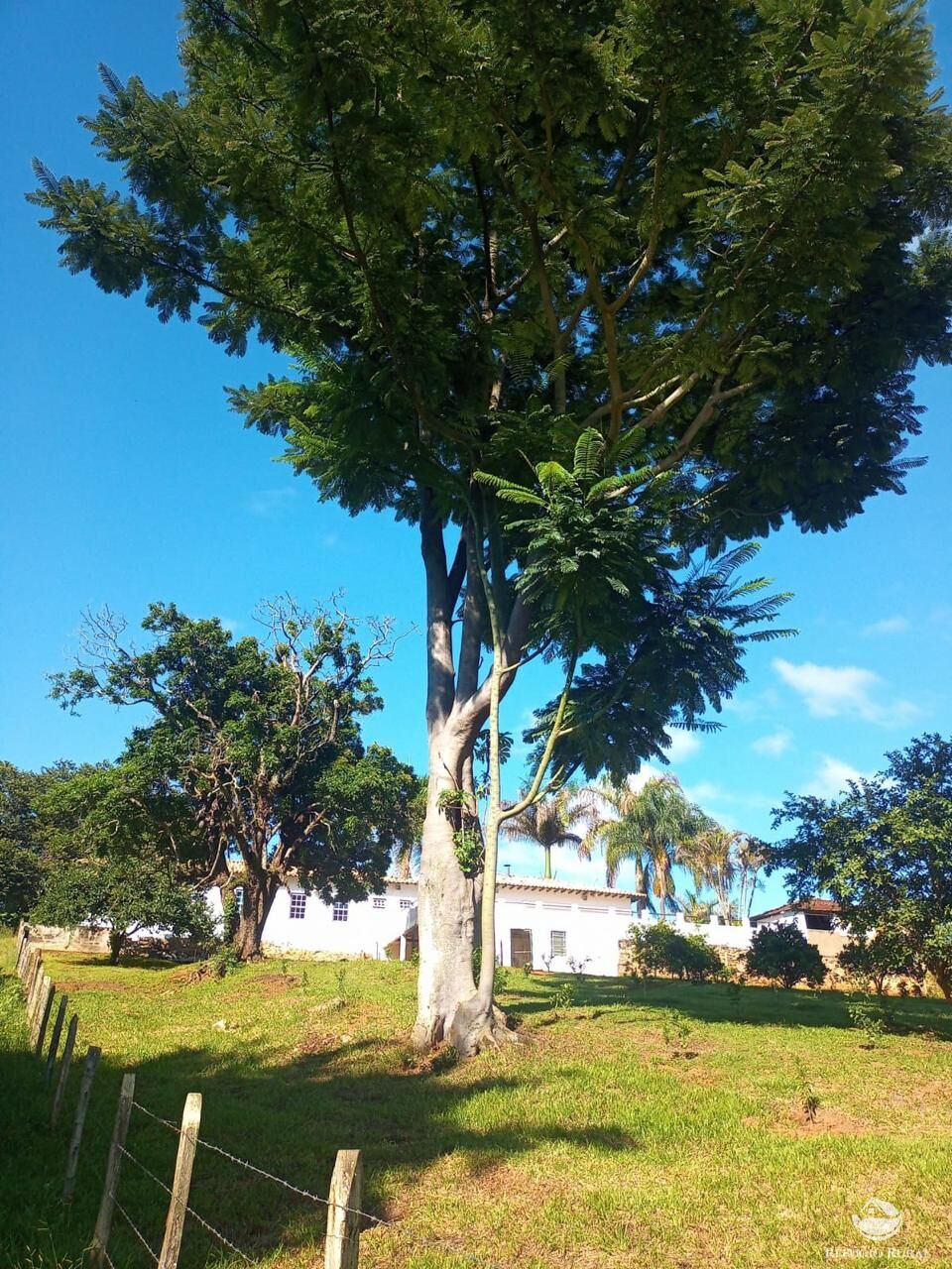 Fazenda à venda com 3 quartos, 730000m² - Foto 7