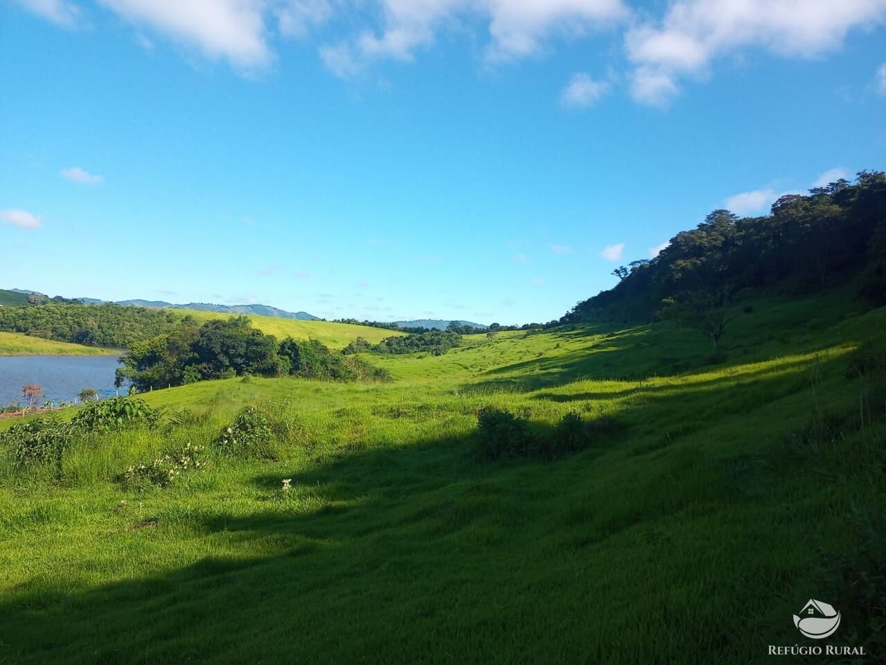 Fazenda à venda com 3 quartos, 730000m² - Foto 9