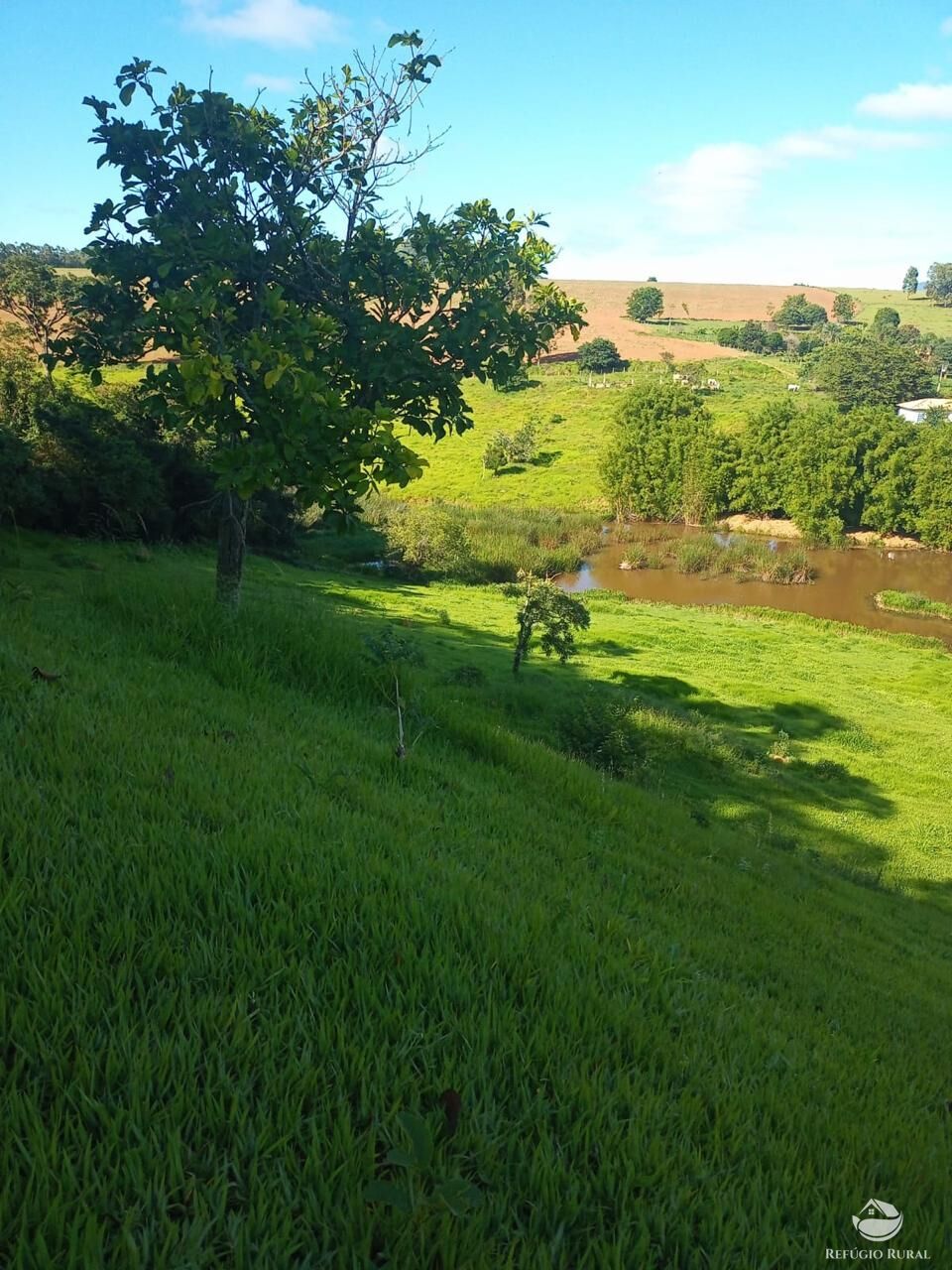 Fazenda à venda com 3 quartos, 730000m² - Foto 11