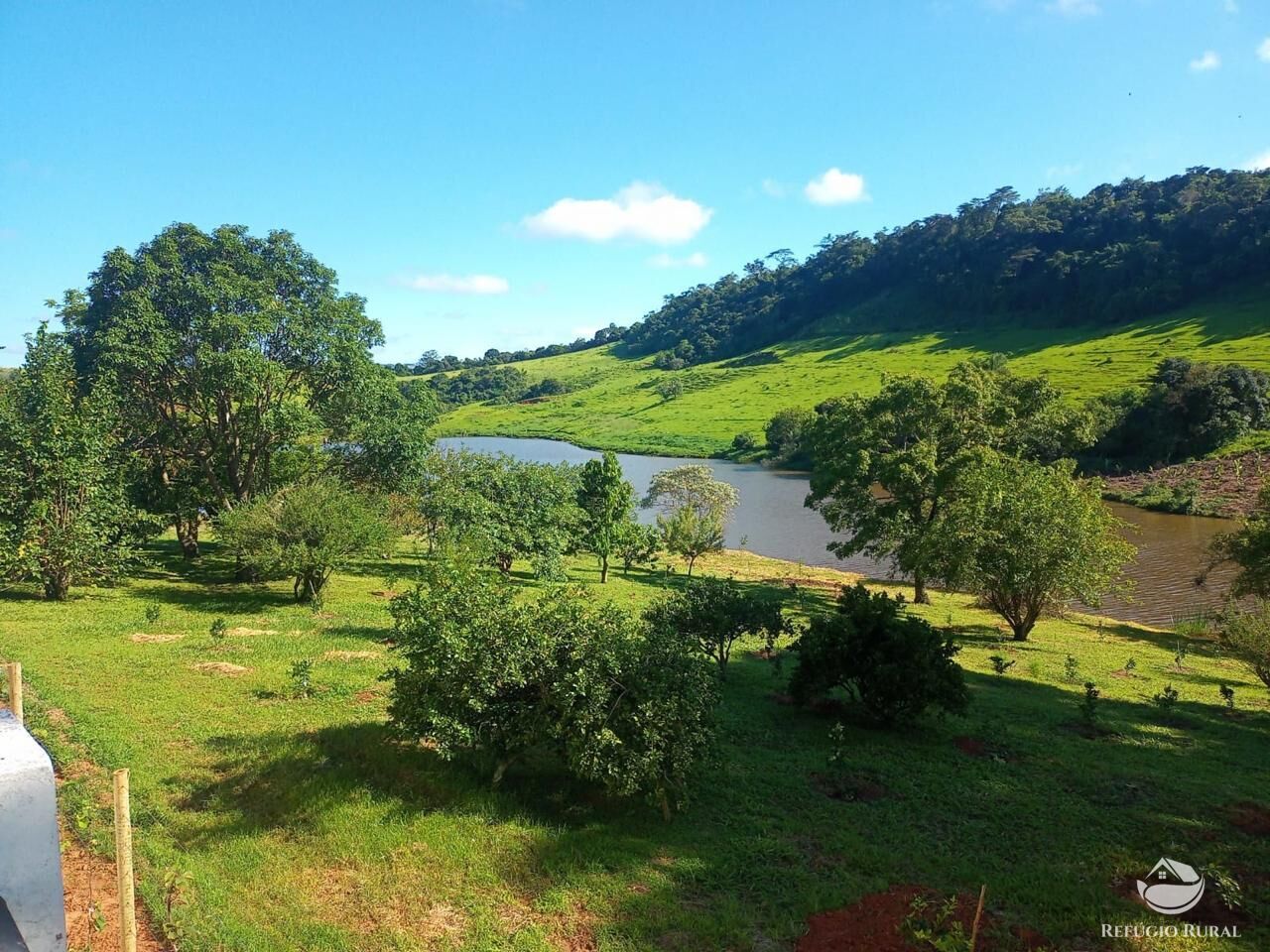 Fazenda à venda com 3 quartos, 730000m² - Foto 18