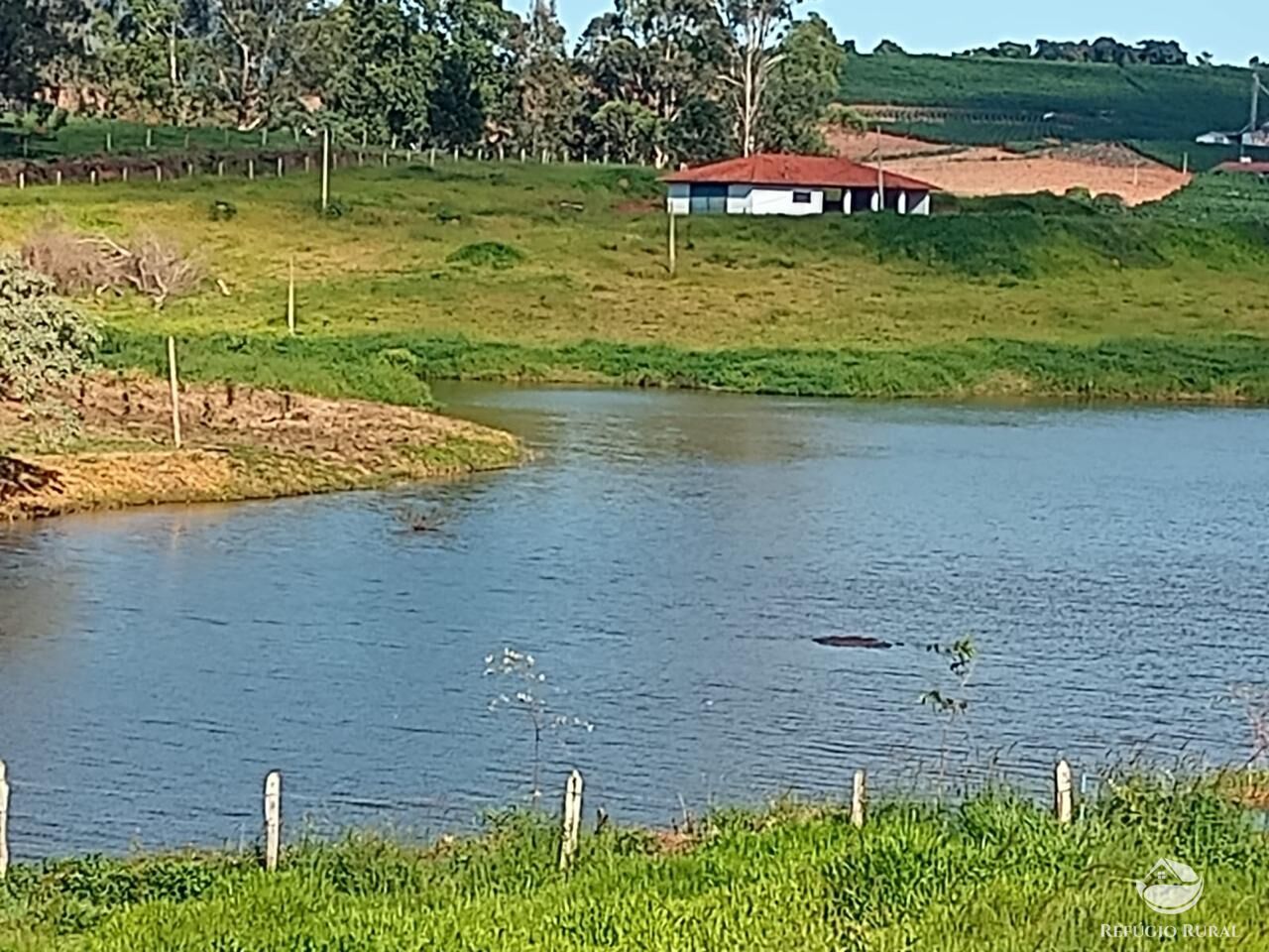 Fazenda à venda com 3 quartos, 730000m² - Foto 15