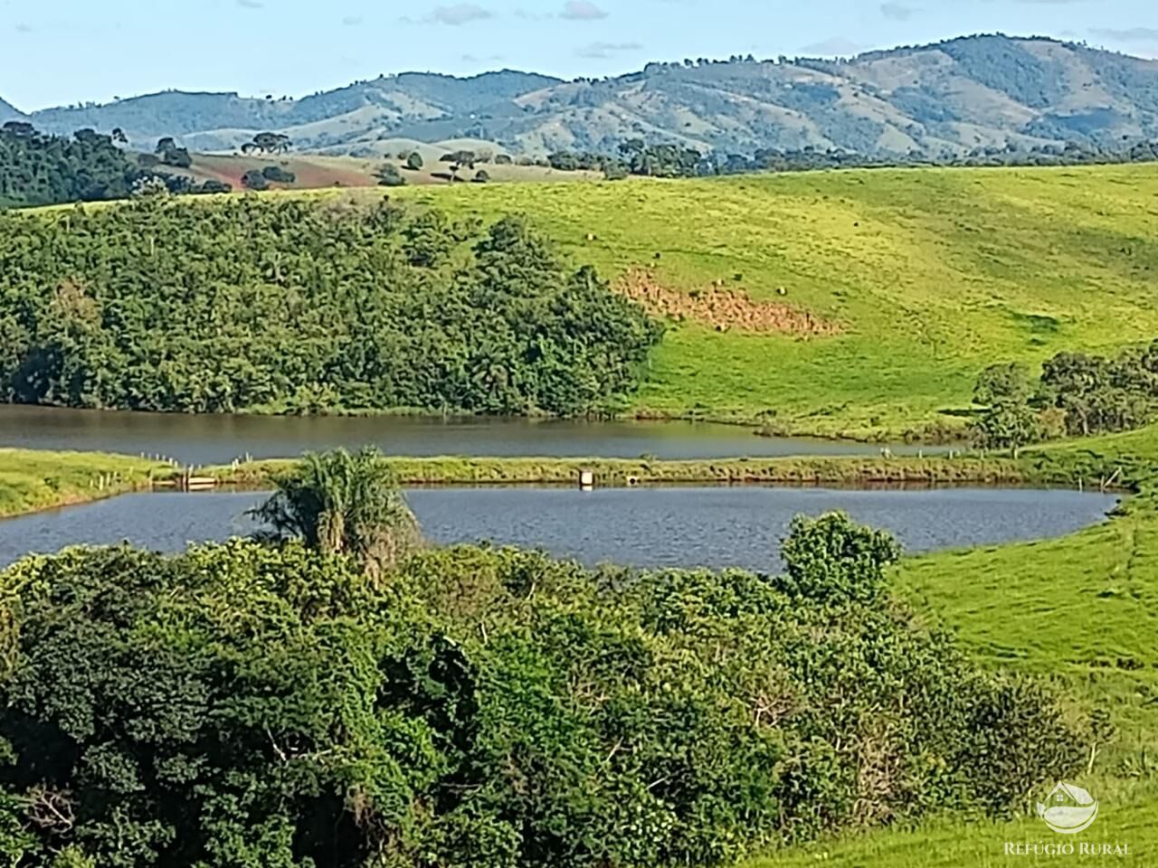 Fazenda à venda com 3 quartos, 730000m² - Foto 13