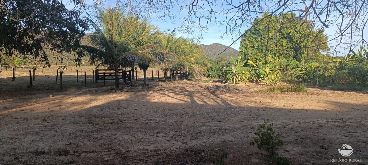 Fazenda à venda com 2 quartos, 14229600m² - Foto 22
