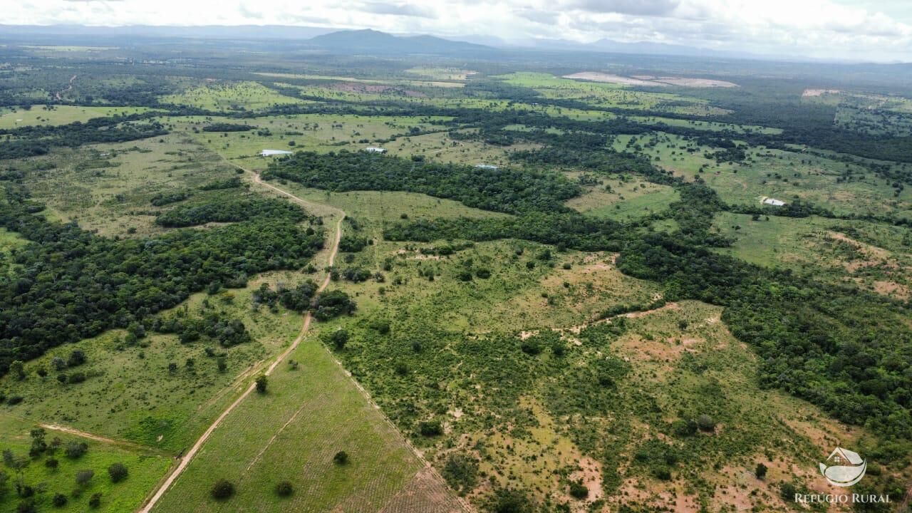 Fazenda à venda com 2 quartos, 14229600m² - Foto 28