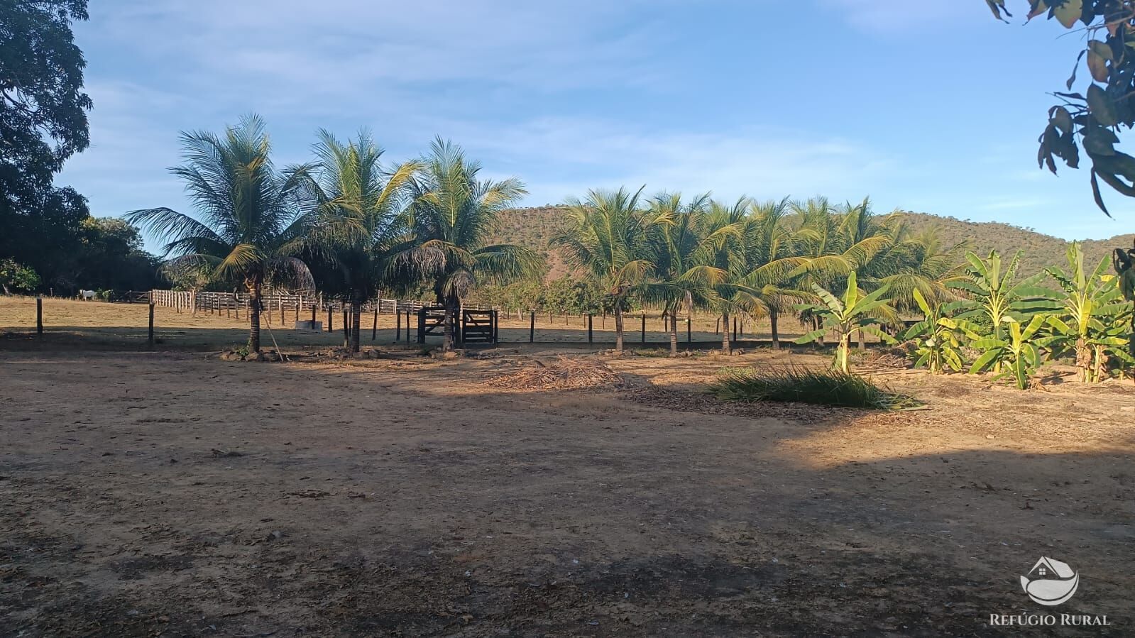 Fazenda à venda com 2 quartos, 14229600m² - Foto 9