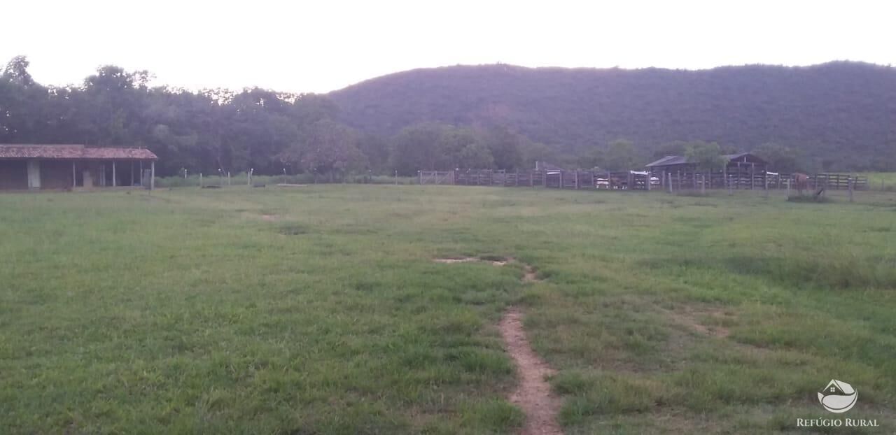 Fazenda à venda com 2 quartos, 14229600m² - Foto 17