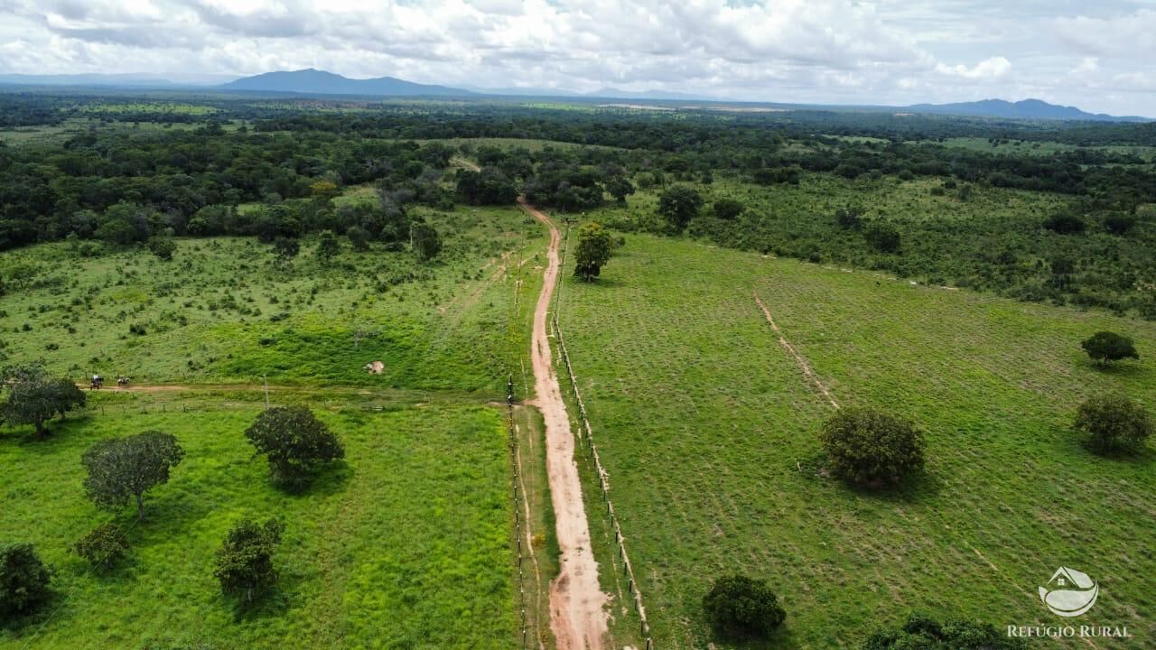Fazenda à venda com 2 quartos, 14229600m² - Foto 24