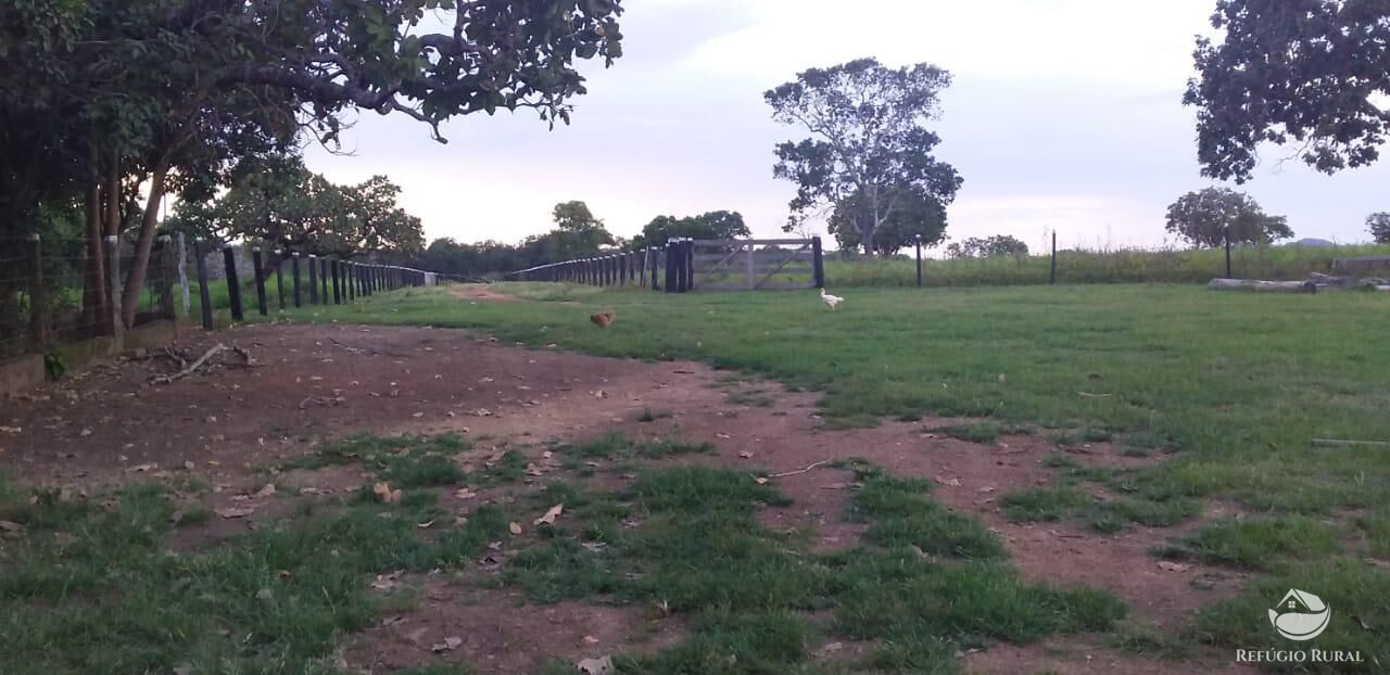 Fazenda à venda com 2 quartos, 14229600m² - Foto 3