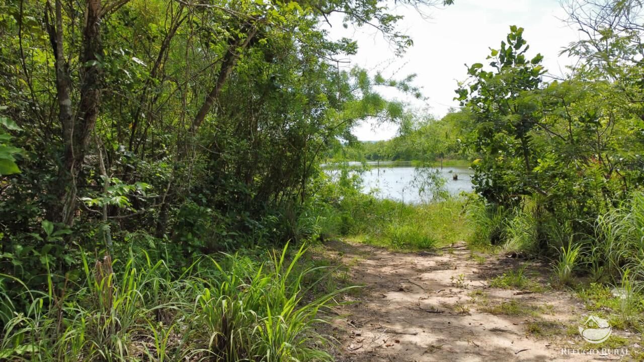 Fazenda à venda com 2 quartos, 14229600m² - Foto 12