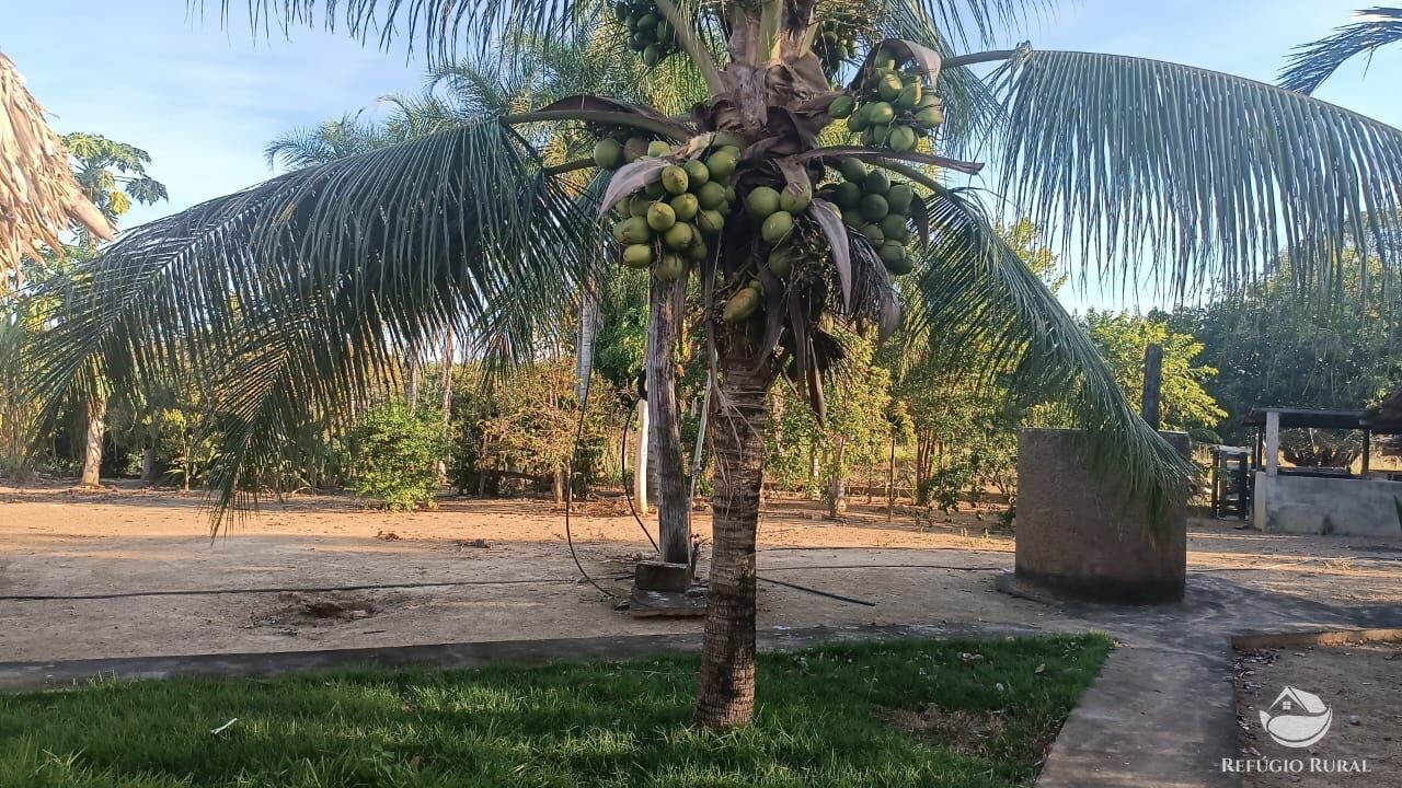 Fazenda à venda com 2 quartos, 14229600m² - Foto 20