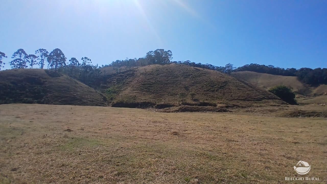 Sítio, 2 quartos, 111 hectares - Foto 11