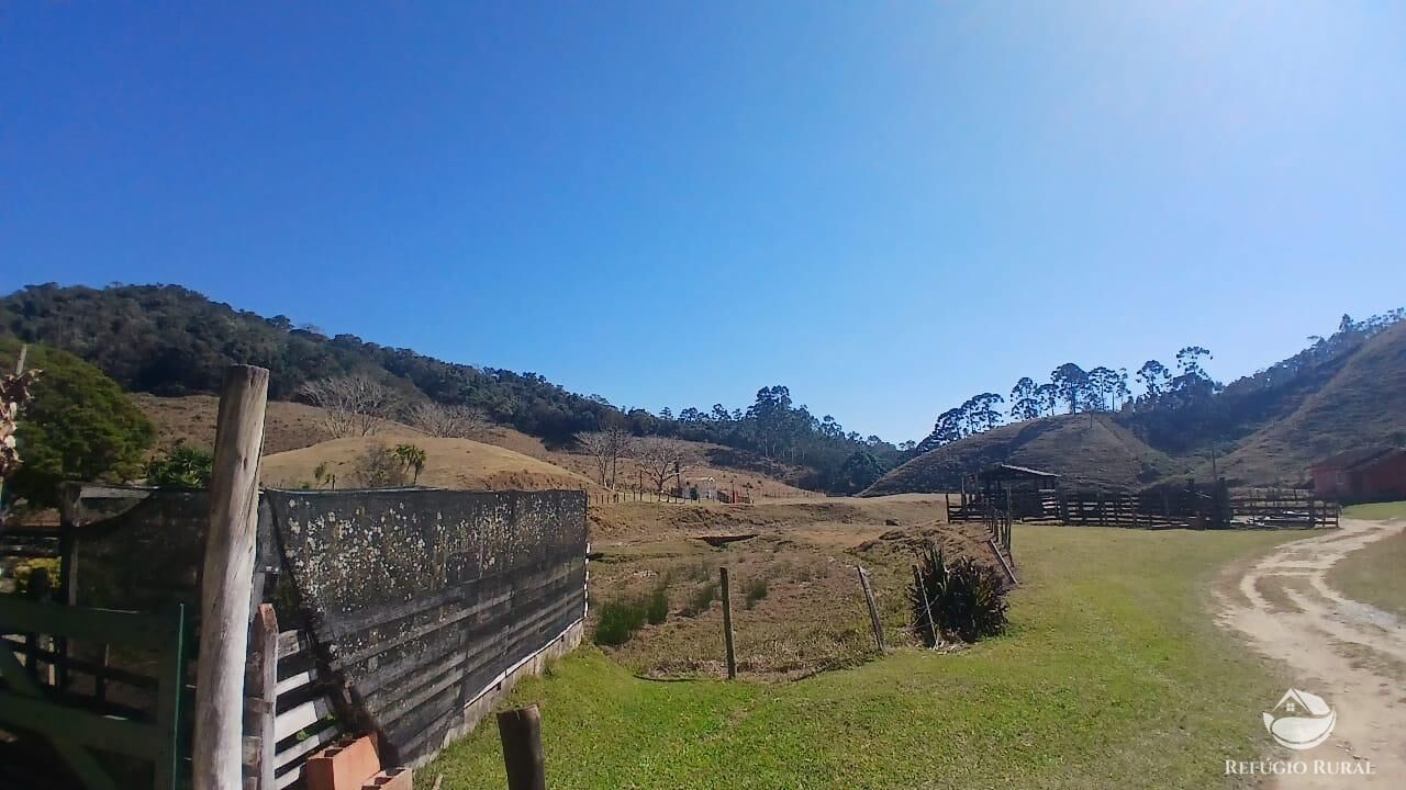 Sítio, 2 quartos, 111 hectares - Foto 23