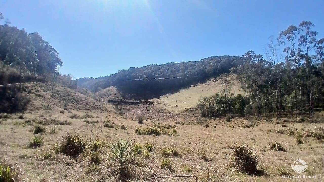 Sítio, 2 quartos, 111 hectares - Foto 28