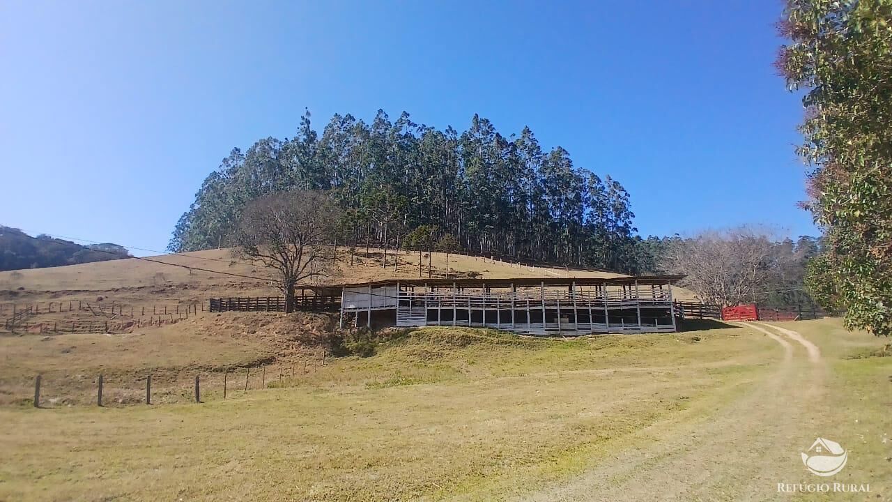 Sítio, 2 quartos, 111 hectares - Foto 38