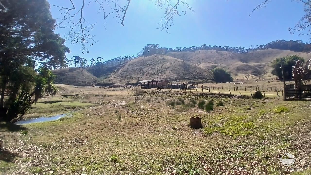 Sítio, 2 quartos, 111 hectares - Foto 30