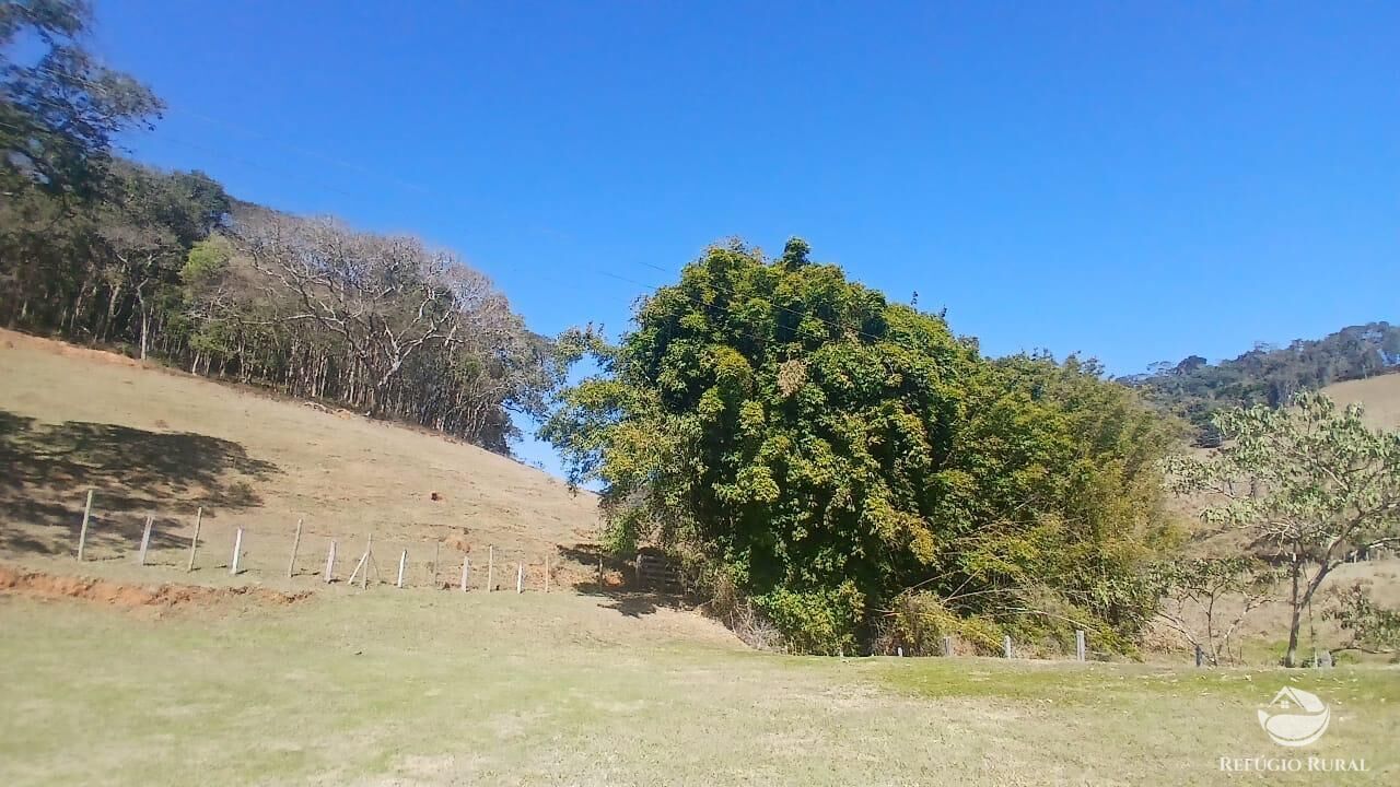 Sítio, 2 quartos, 111 hectares - Foto 17