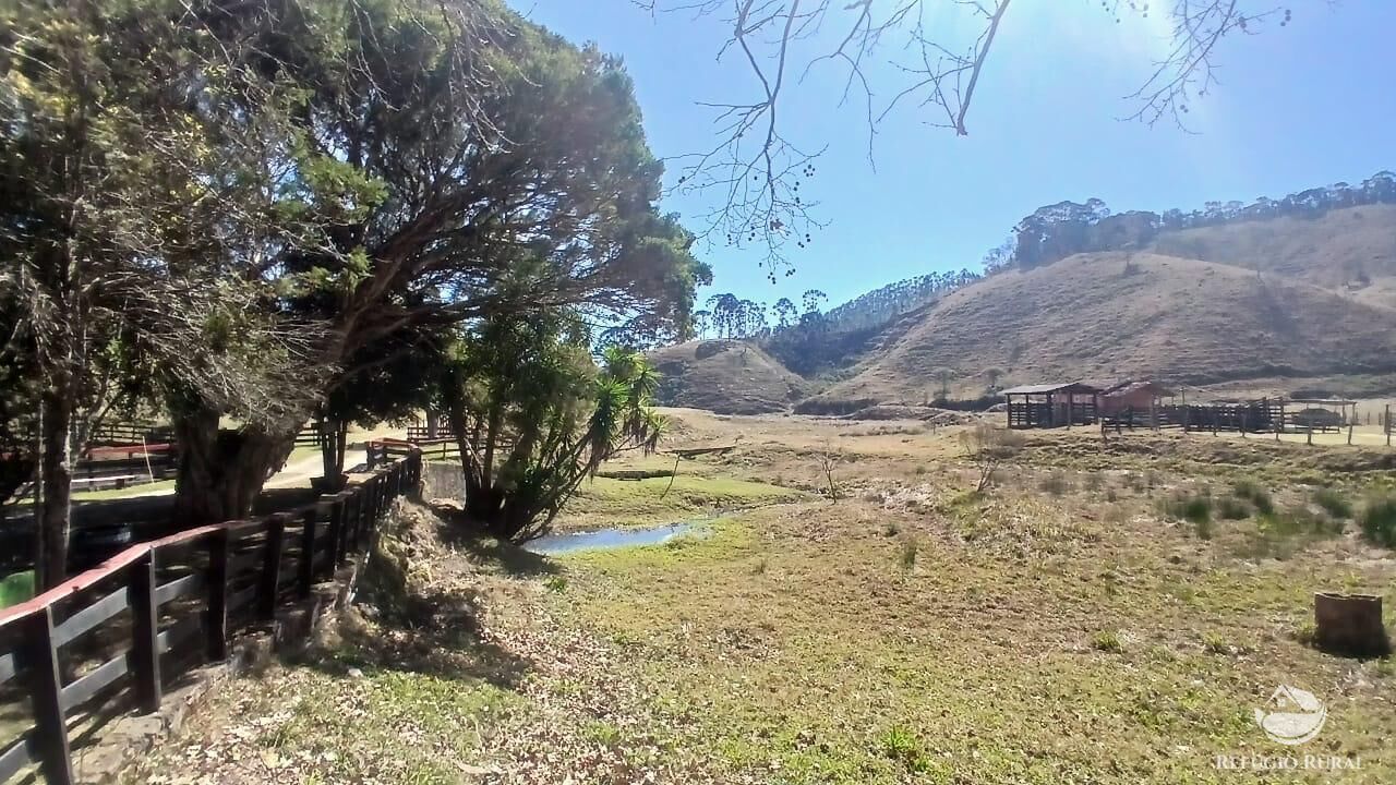 Sítio, 2 quartos, 111 hectares - Foto 39