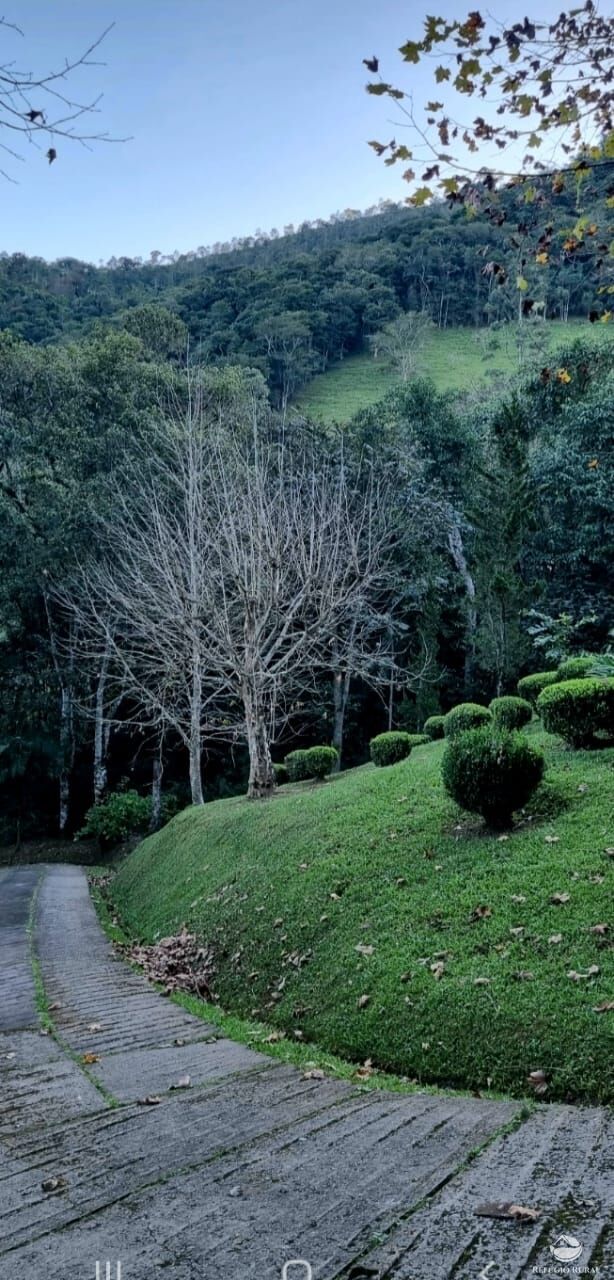 Fazenda à venda com 7 quartos, 24200m² - Foto 36