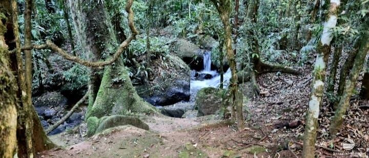 Fazenda à venda com 7 quartos, 24200m² - Foto 30