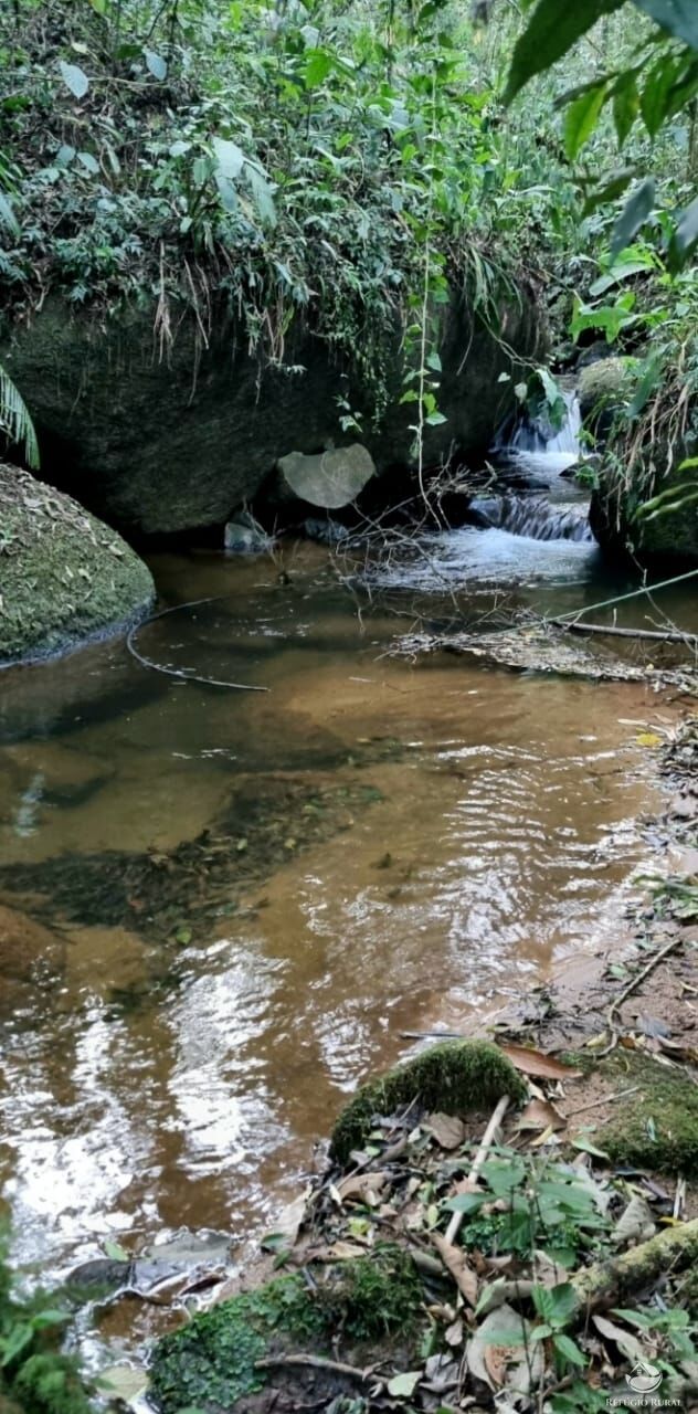 Fazenda à venda com 7 quartos, 24200m² - Foto 40