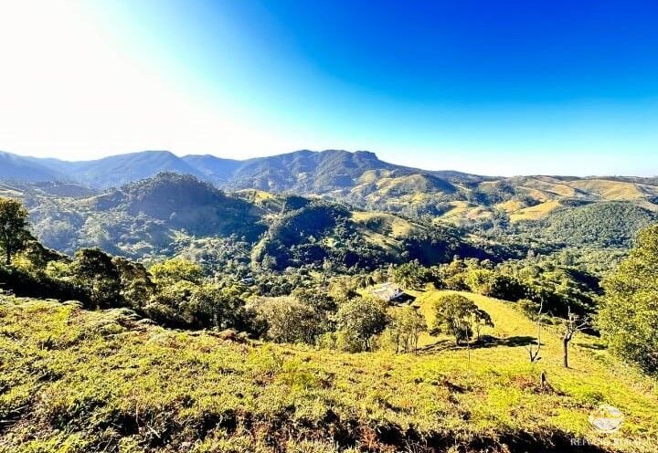 Fazenda à venda com 2 quartos, 22000m² - Foto 6