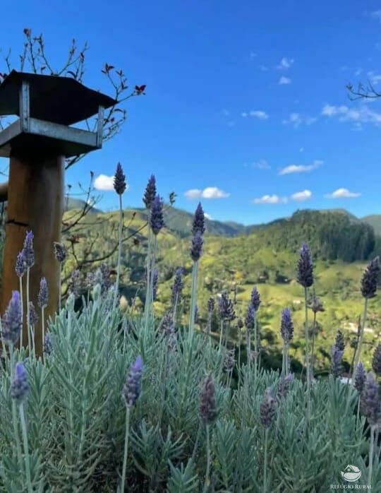 Fazenda à venda com 2 quartos, 22000m² - Foto 20