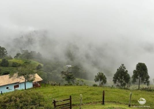 Fazenda à venda com 2 quartos, 22000m² - Foto 29