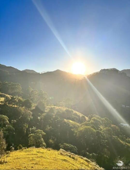 Fazenda à venda com 2 quartos, 22000m² - Foto 28