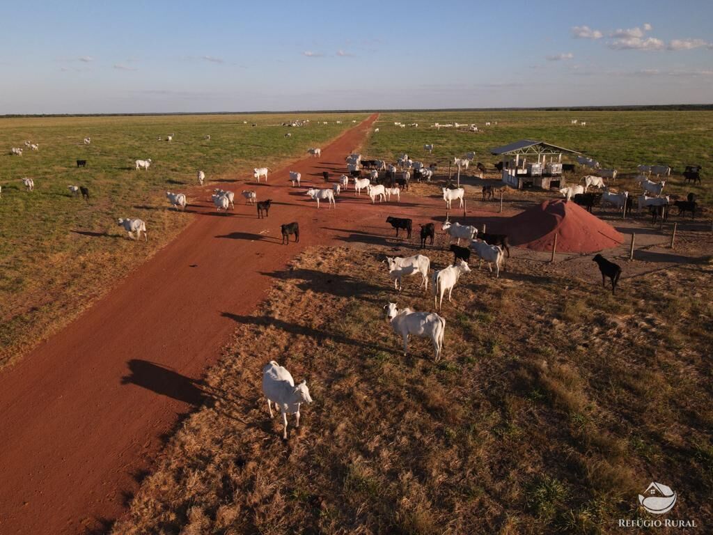 Fazenda à venda com 4 quartos, 330000000m² - Foto 1