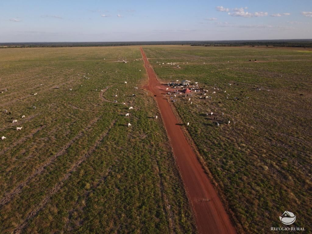 Fazenda à venda com 4 quartos, 330000000m² - Foto 5