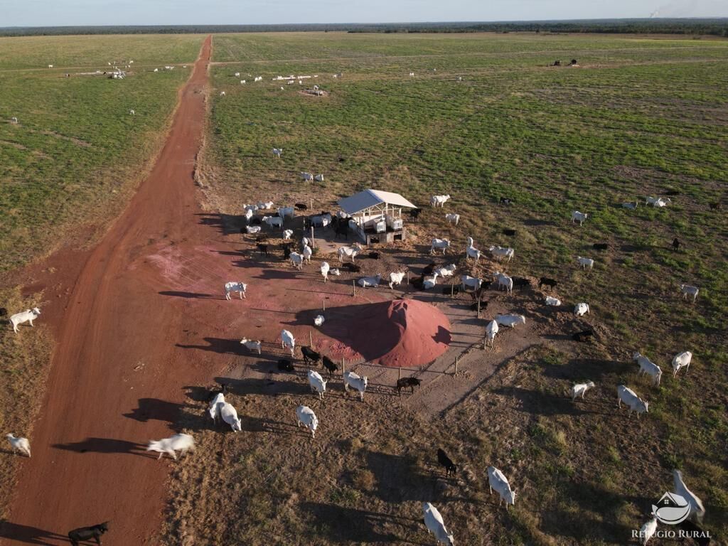 Fazenda à venda com 4 quartos, 330000000m² - Foto 6