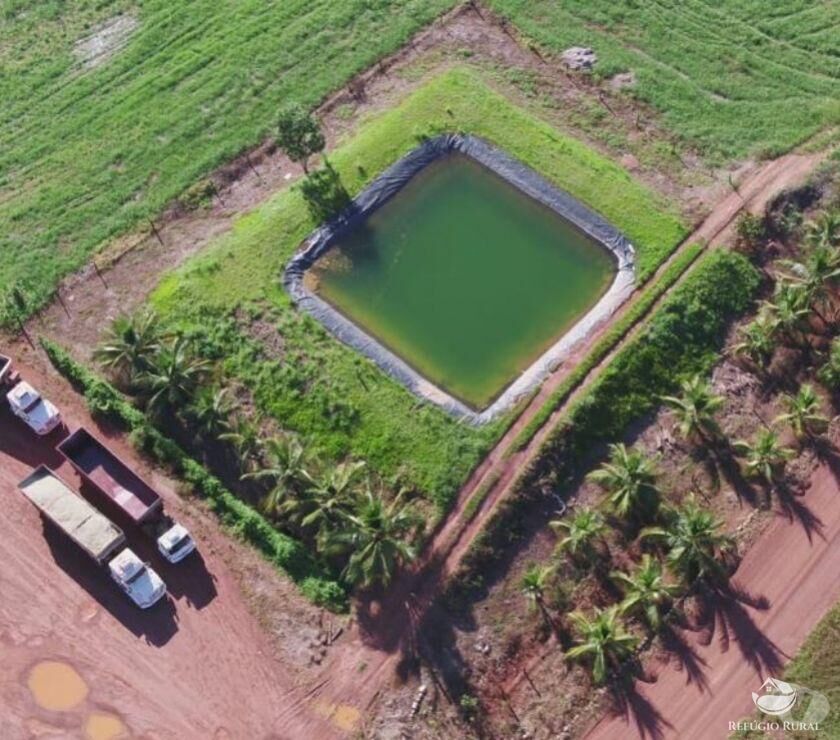 Fazenda à venda com 4 quartos, 330000000m² - Foto 3