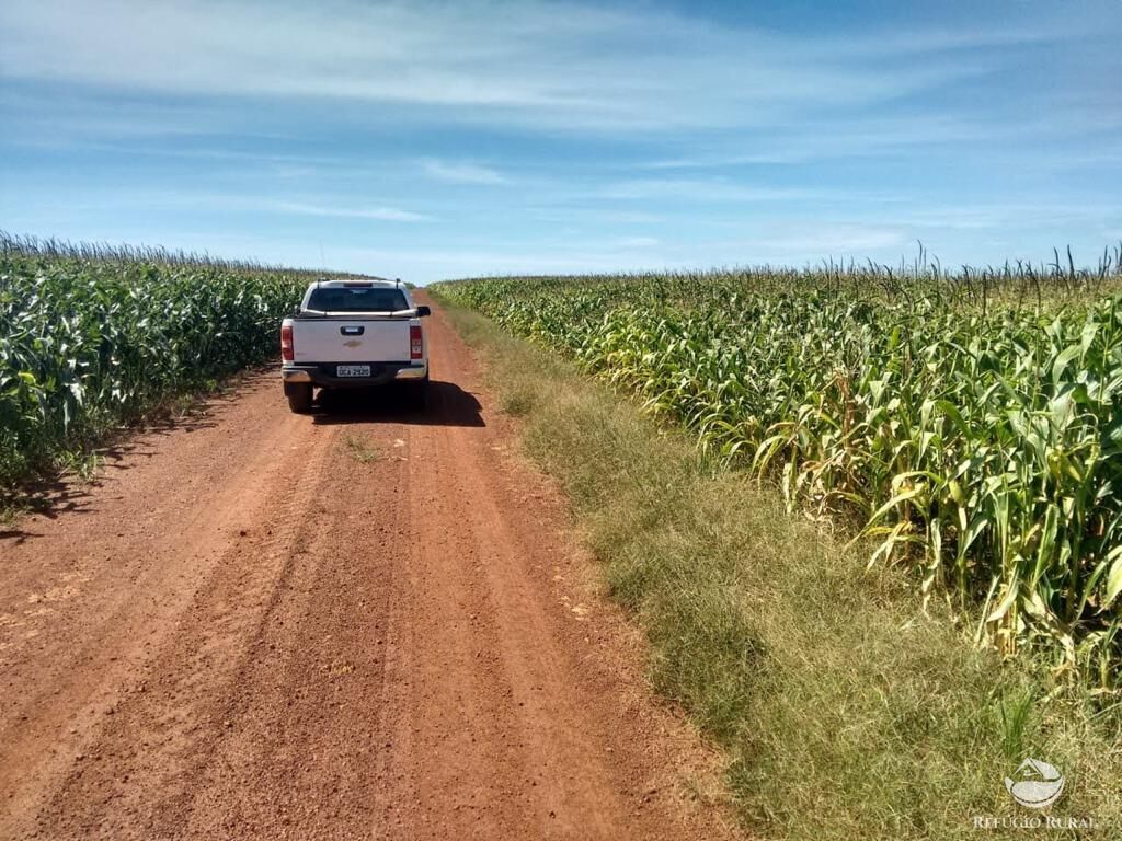 Fazenda à venda com 4 quartos, 330000000m² - Foto 14