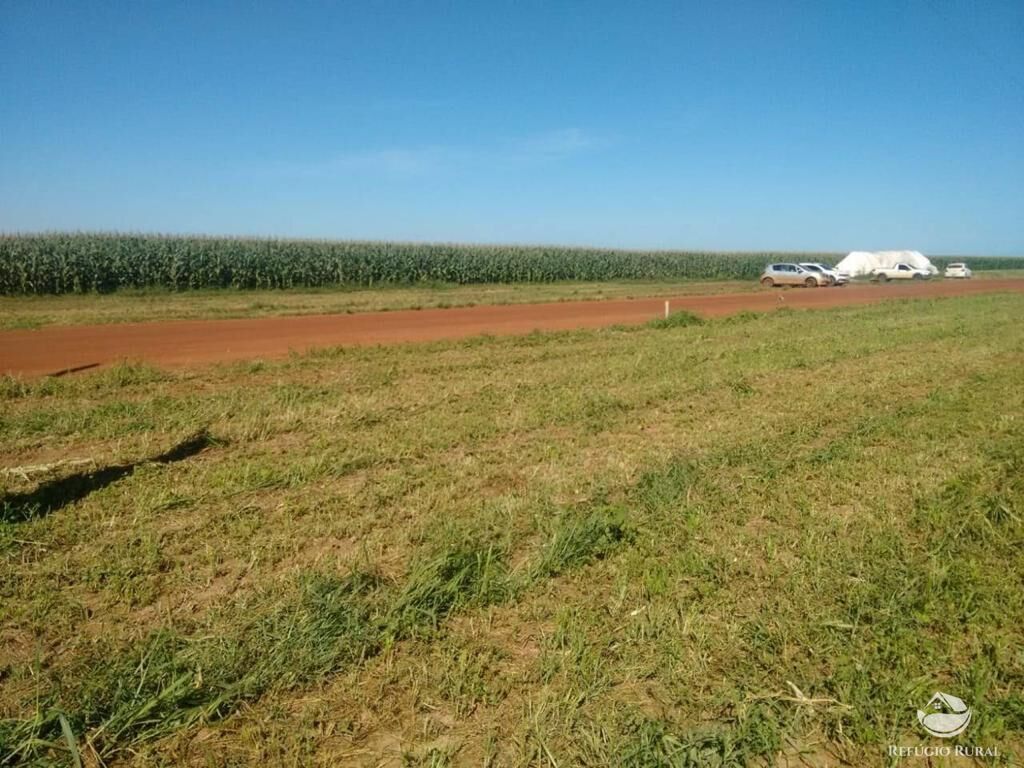 Fazenda à venda com 4 quartos, 330000000m² - Foto 12