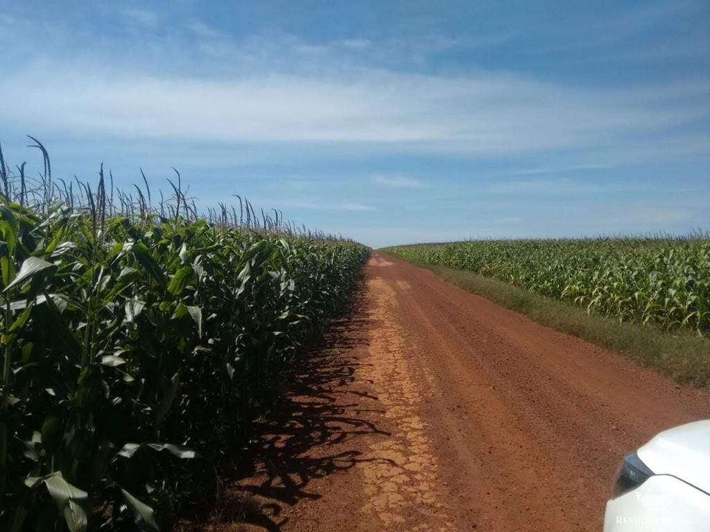 Fazenda à venda com 4 quartos, 330000000m² - Foto 9