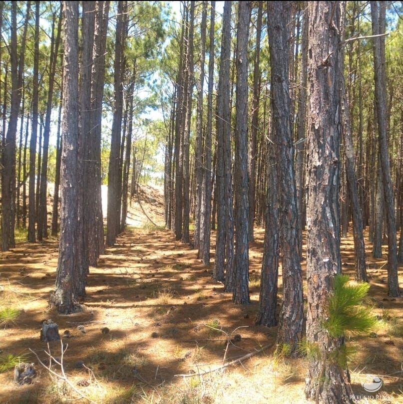 Fazenda à venda com 1 quarto, 360000000m² - Foto 1