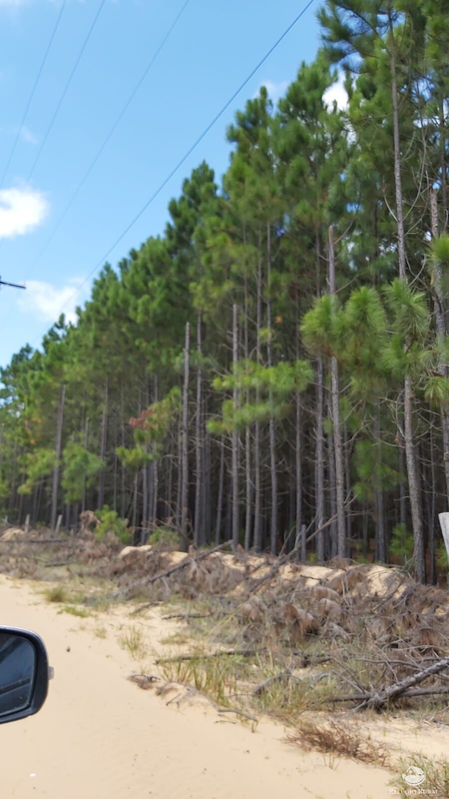 Fazenda à venda com 1 quarto, 360000000m² - Foto 2