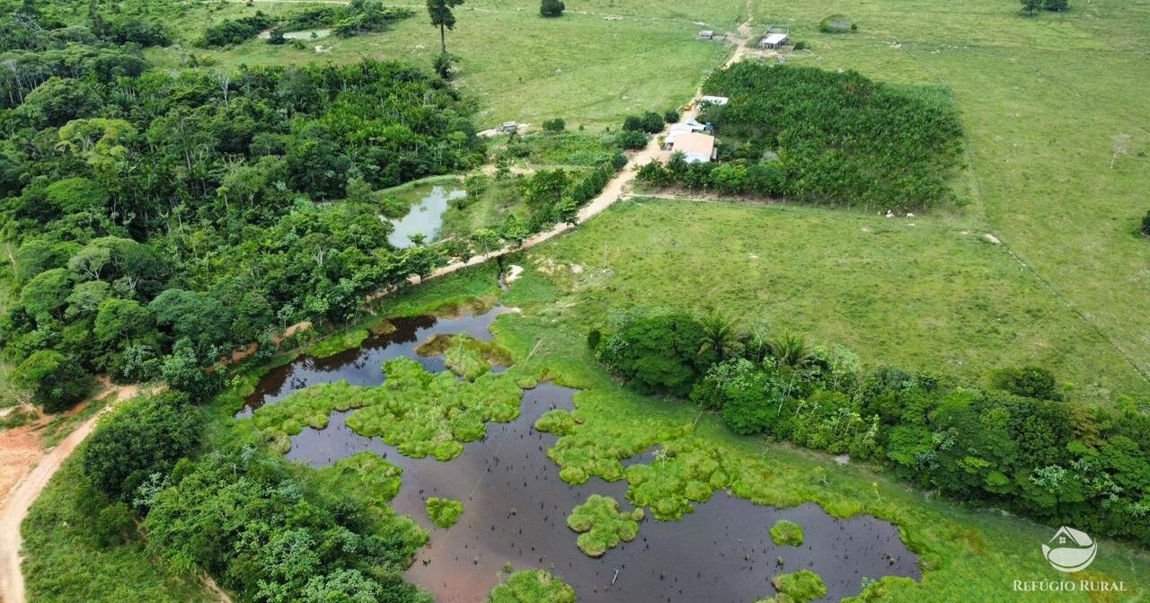 Fazenda à venda com 1 quarto, 11600000m² - Foto 1