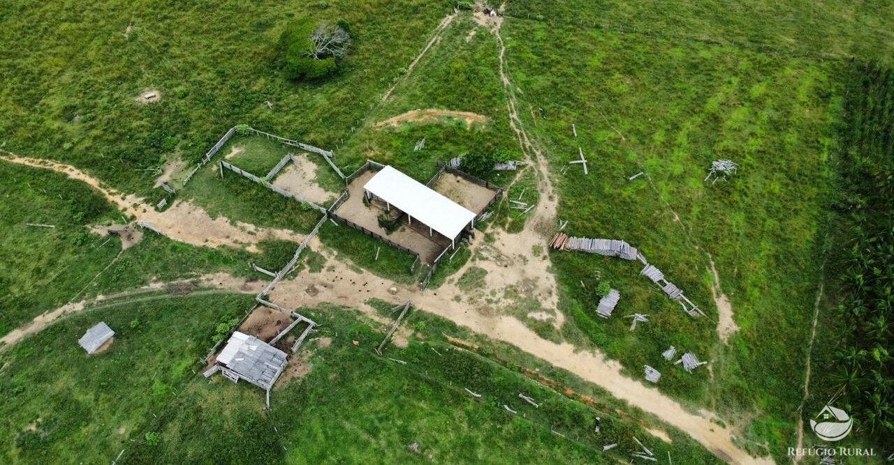 Fazenda à venda com 1 quarto, 11600000m² - Foto 3