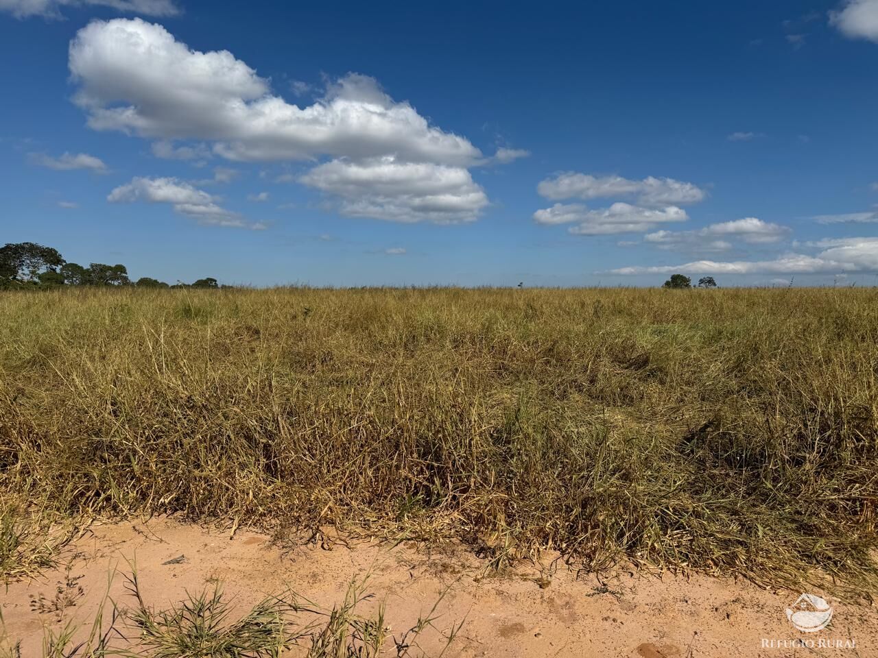 Fazenda à venda com 1 quarto, 26229800m² - Foto 8