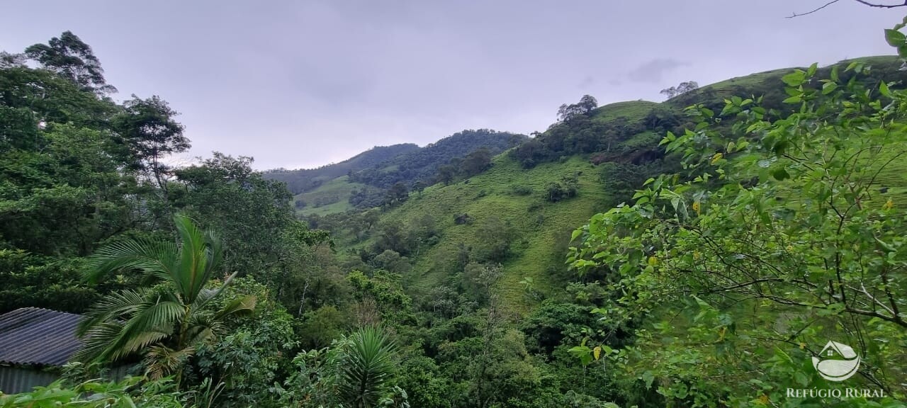 Fazenda à venda com 1 quarto, 7000m² - Foto 10