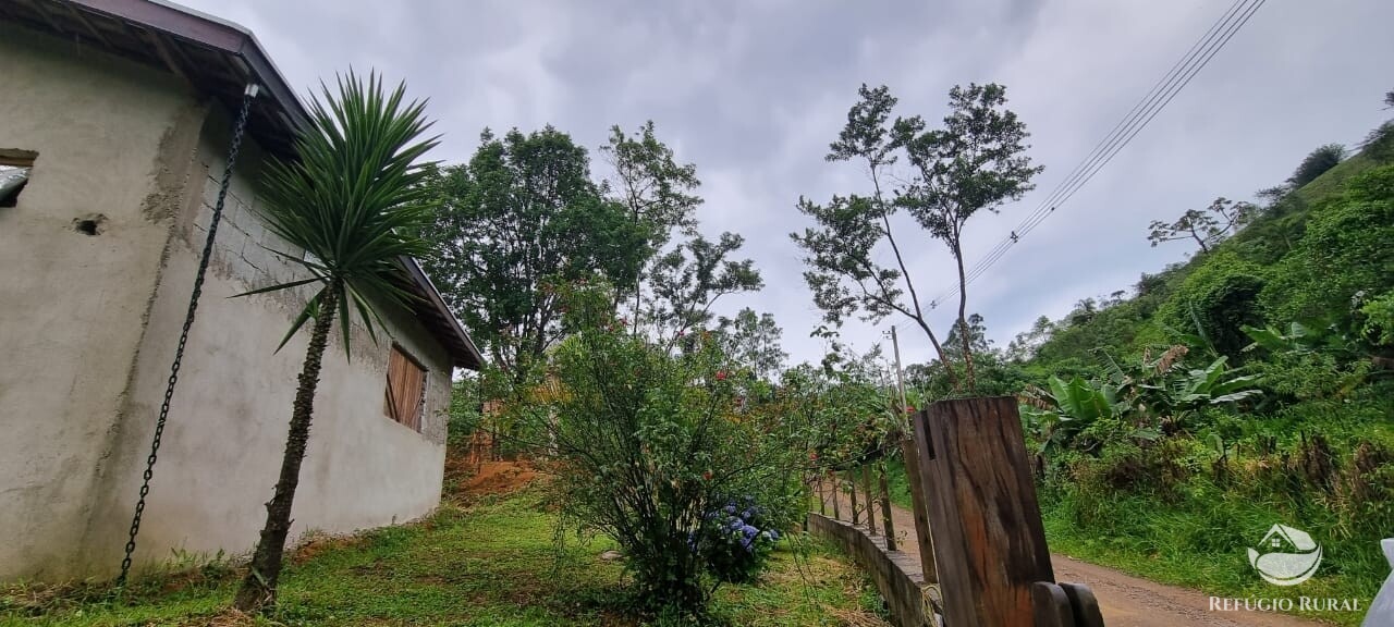 Fazenda à venda com 1 quarto, 7000m² - Foto 7