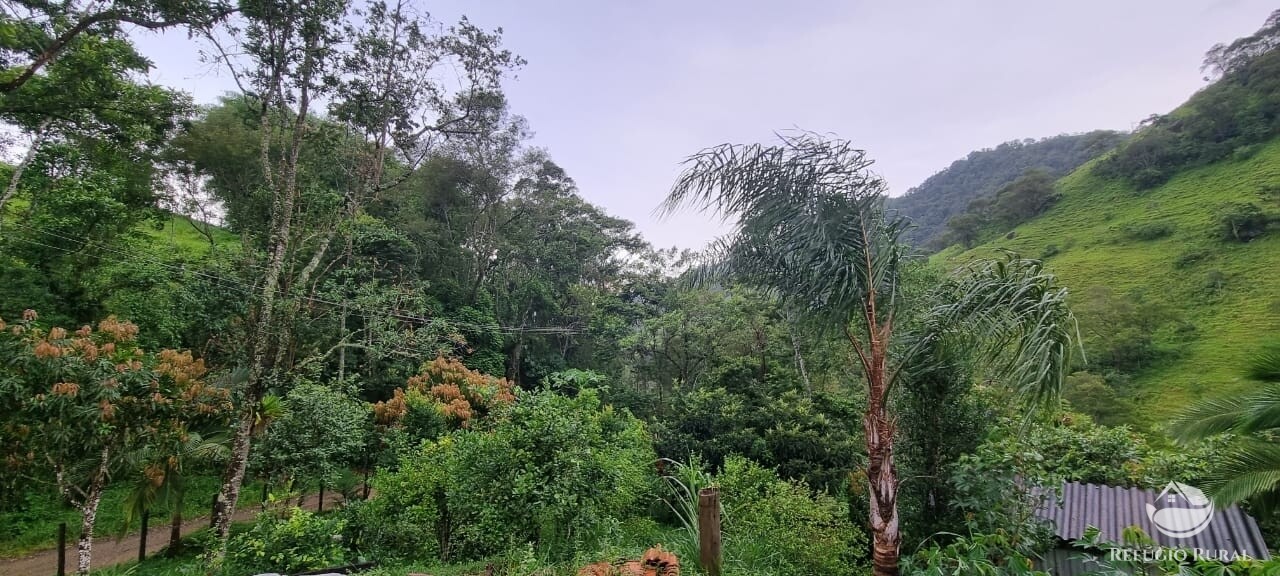 Fazenda à venda com 1 quarto, 7000m² - Foto 4