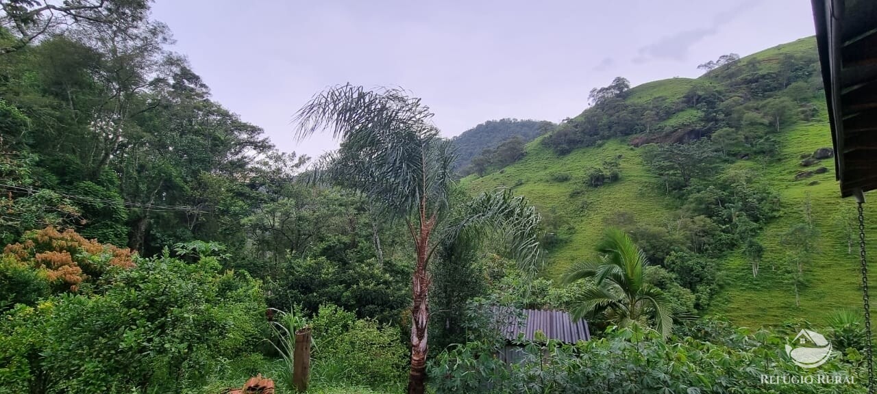 Fazenda à venda com 1 quarto, 7000m² - Foto 3