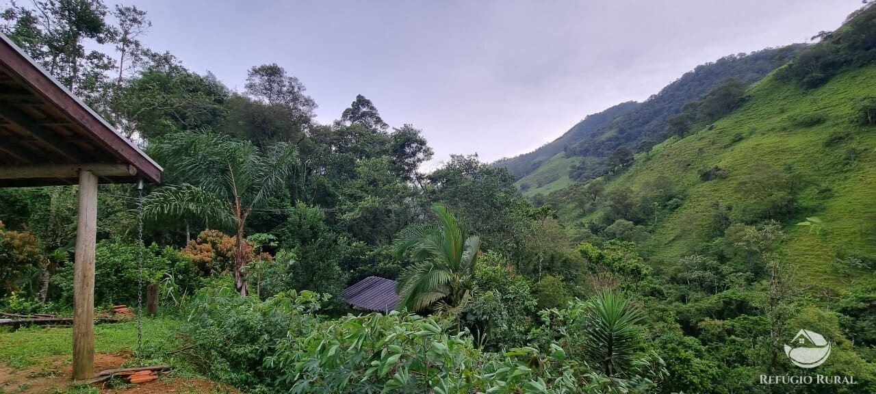 Fazenda à venda com 1 quarto, 7000m² - Foto 11