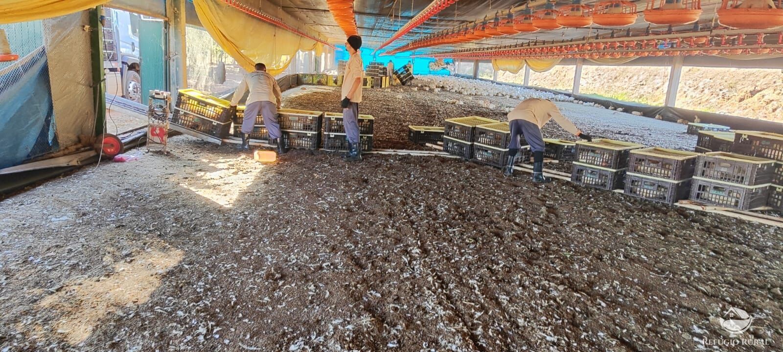 Fazenda-Sítio-Chácara, 39 hectares - Foto 4