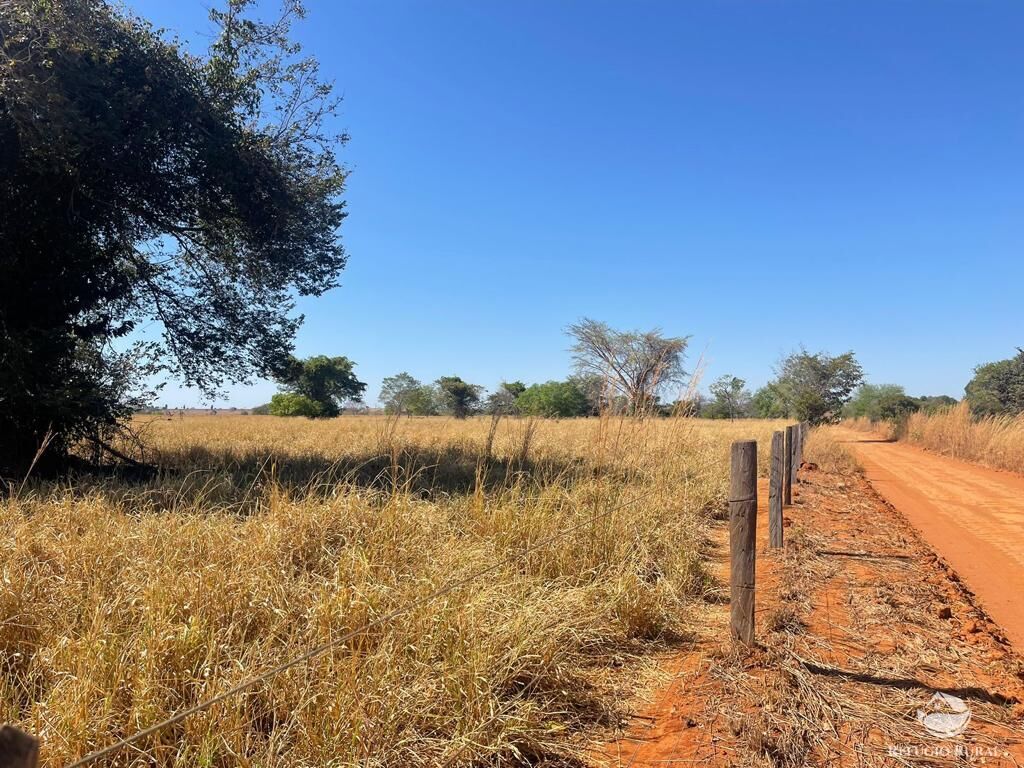 Fazenda à venda com 4 quartos, 40026800m² - Foto 4