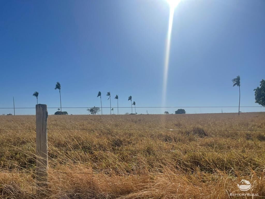 Fazenda à venda com 4 quartos, 40026800m² - Foto 14