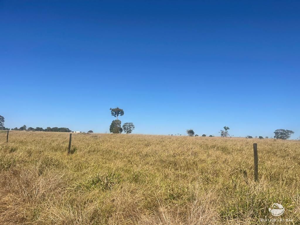 Fazenda à venda com 4 quartos, 40026800m² - Foto 5